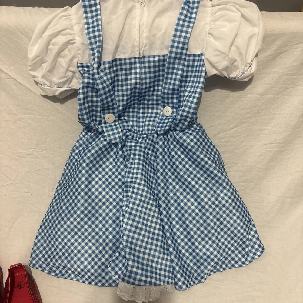 Rubie’s dorothy wizard